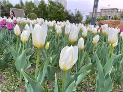 -长春公园(普阳街道)