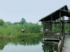 -溱湖国家湿地公园