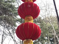 -汇龙潭