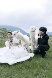 -蒙太奇婚纱摄影(万达店)