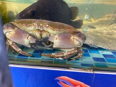 -87号烧烤海鲜·大排档(金沙滩店)