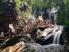 -驼梁风景区