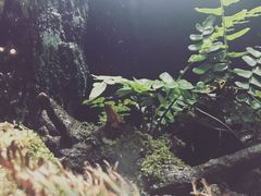 -暹罗海洋世界
