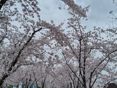 -龙美术馆(西岸馆)