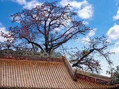 -东山湖公园