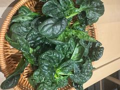 -季季山·云南野生菌火锅(上海首店)