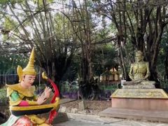 -瑞丽独树成林风景区