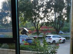 -映像威海·海鲜味道(经区店)