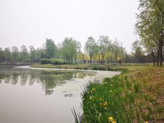 -东郊湿地公园