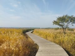 景点-野鸭湖国家湿地公园