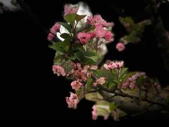 -眉山湿地公园(东坡区)