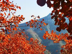 -周口店坡峰岭风景区