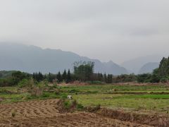 -罗坑大草原