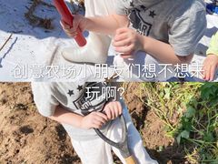 -前小桔亲子创意农场·草莓采摘·露营烧烤