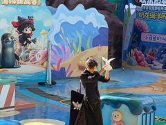 -海合安成都极地海洋公园