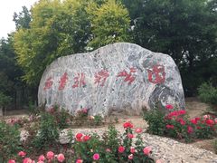 -西青郊野公园