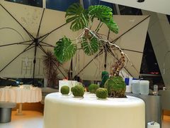 -枕水江南(铁西万象汇店)