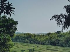 -大屏嶂森林公园