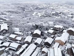 -四明山国家森林公园