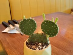 -Mesa Madre梅萨妈妈·Bintana(国贸店)