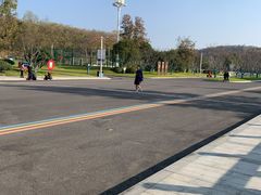 -羊山湖公园