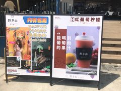 -野萃山·潮汕厚果汁(十亩地店)