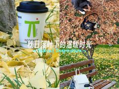 -金城公园