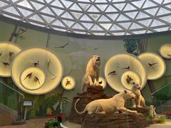 -陕西自然博物馆