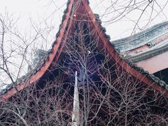 -望江楼公园