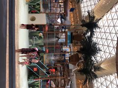 -杭州开元森泊度假乐园