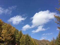 -苏木山森林公园