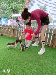 -萌宠亲子动物乐园(槐房万达店)