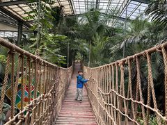 -呀路古热带植物园