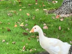 -浙江万里学院(钱湖校区)