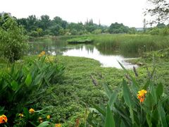 android_upload_pic-贵阳市花溪国家城市湿地公园