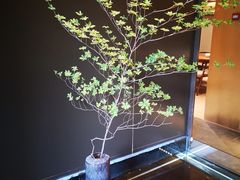 -梅间堂茶馆(绿地缤纷城店)