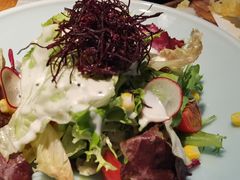 -森味薪火烧•烧鸟居酒屋•日本料理(望京店)
