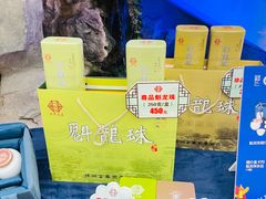 -富春茶社(国庆路店)