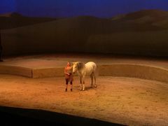 -cavalia·舞马