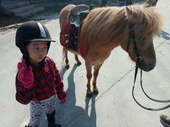 -松声马术俱乐部