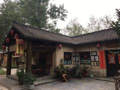 -合肥滨湖国家森林公园