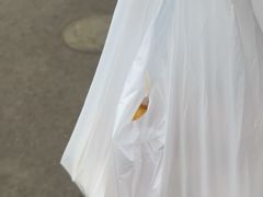 -耳朵眼炸糕(东北角店)