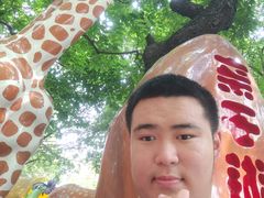 -晓港公园