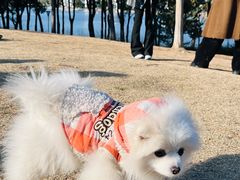 -美兰湖景区