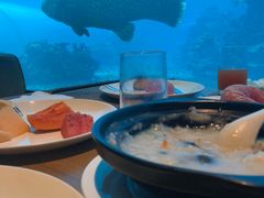 -海棠湾洲际-涛·海底餐厅·美人鱼·自助餐·海底隧道