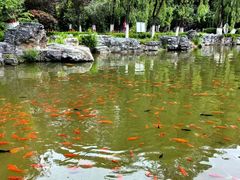 -西宁市人民公园(城西区)