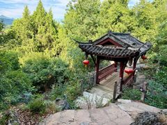-寻龙山风景旅游区