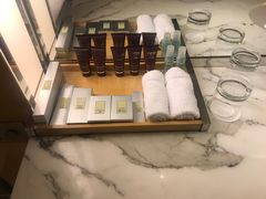 -新加坡丽思卡尔顿美年酒店