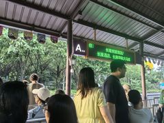 -广州长隆国际大马戏