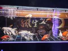 -哈尔滨道外花鸟鱼市场